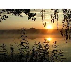  Dawn. Summer Morning on Lake.   Peel and Stick Wall Decal 