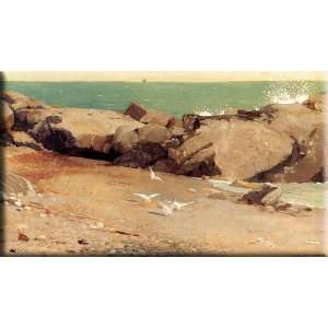   and Gulls 16x9 Streched Canvas Art by Homer, Winslow