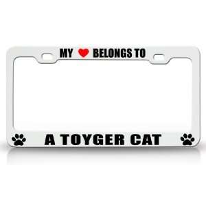  MY HEART BELONGS TO A TOYGER Cat Pet Auto License Plate 