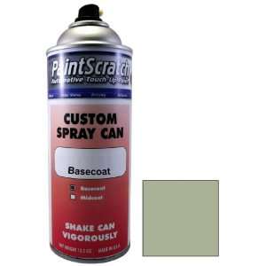  12.5 Oz. Spray Can of Techno Grey Metallic Touch Up Paint 