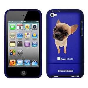 Chihuahua Puppy on iPod Touch 4g Greatshield Case 