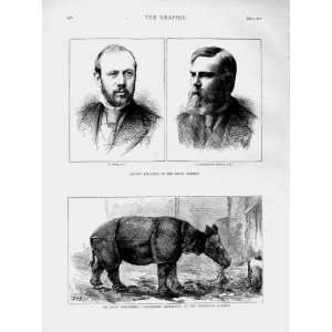  1874 Javan Rhinoceros Royal Academy Pettie Pearson