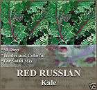 Kale Seeds ~ORGANIC~ ~ RED RUSSIAN ~ ~~ VERY TENDER ~~