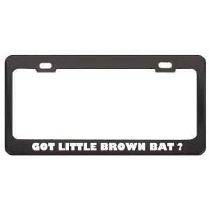 Got Little Brown Bat ? Animals Pets Black Metal License Plate Frame 