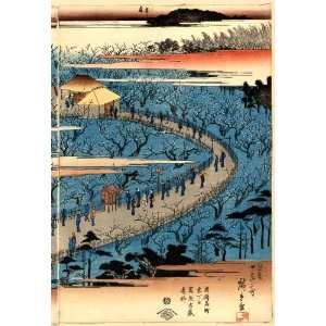 Japanese Print Kameido umeyashiki zenzu. TITLE TRANSLATION A complete 