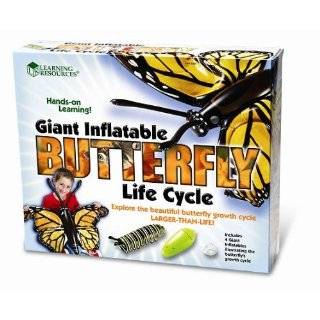 Learning Resources Inflatable Butterfly Life Cycle