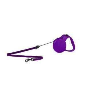   Ft. Corded Leash For Dogs Up to 26 lbs. Purple   Small