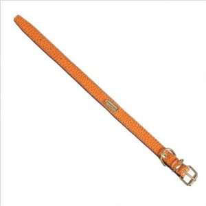 Bundle 05 Fashion Flat Leather Dog Collar in Orange Size 3/5 W x 9 
