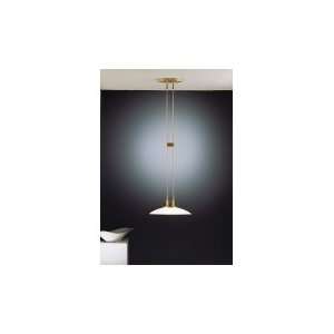   5117SNCHA 1 Light Ceiling Pendant in Satin Nickel with Champagne glass