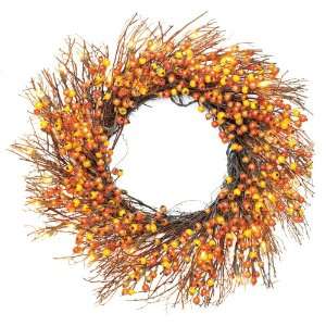   Lighting 24 Inch 35 Light Harvest Cranberry Wreath