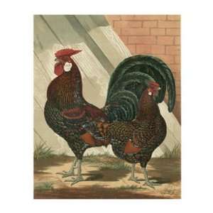  Cassells Roosters V by Cassell 10x13
