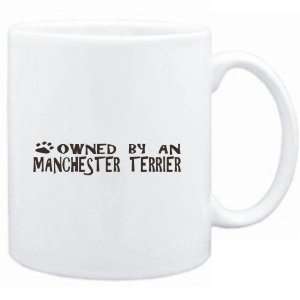 Mug White  OWNED BY Manchester Terrier  Dogs  Sports 