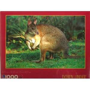   Down Under 1000 Piece Jigsaw Puzzle by Sure Lox 