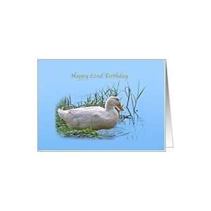  82nd Birthday Card with Pekin Duck Card Toys & Games