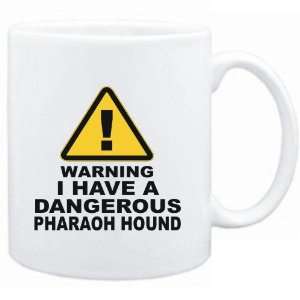   White  WARNING  DANGEROUS Pharaoh Hound  Dogs