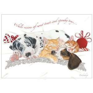   Productions C534 Mix Dog With Cat Holiday Boxed Cards