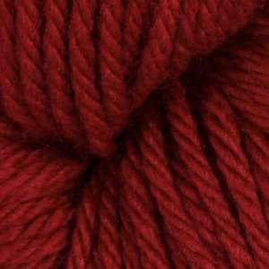   Chunky Yarn (6134) Sour Cherry By The Skein Arts, Crafts & Sewing