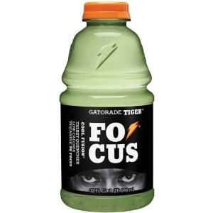 Tiger Woods 32 Oz Cool Fusion   12 Pack  Grocery & Gourmet 