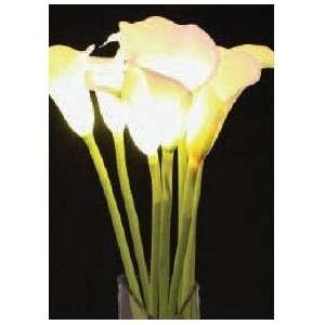  Battery Operated White Calla Lily   8 Stems   8 LED Lights 