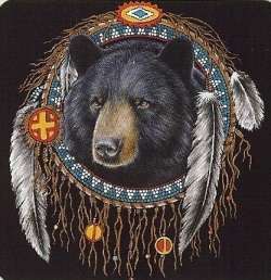 Bear Dreamcatcher   Native American Indian T Shirt  