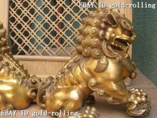 12Eximous Brass Foo Dog Beautiful Lion Pair Statue  