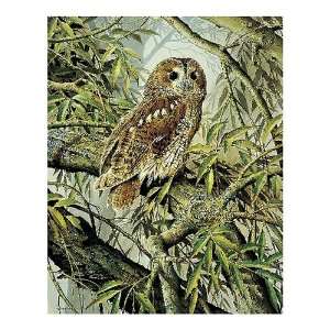  Tawny Owl Jigsaw Puzzle 72pc Toys & Games