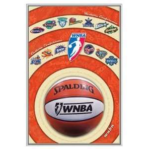  WNBA Team Logos Framed Poster   Quality Silver Metal Frame 