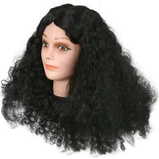  Adult Deluxe Diana Ross Costume Wig Clothing