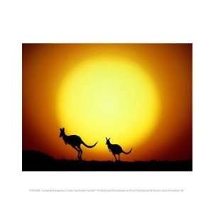  Jumping Kangaroos Under Australian Sunset 10.00 x 8.00 