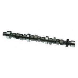  Clevite 229 2173 Hydraulic Camshaft Automotive