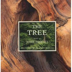  The Tree (Slipcase Edition) Books