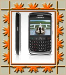 New BlackBerry 8900 Curve Unlocked GSM~~Black  