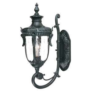  Acclaim Lighting 3761BK Baton Rouge Small Outdoor Sconce 