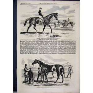  1858 Horse Fitzroland Governess Thousand Stakes Print 