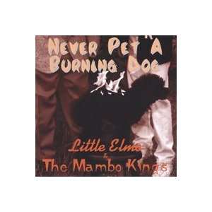    Never Pet a Burning Dog Little Elmo & the Mambo Kings Music