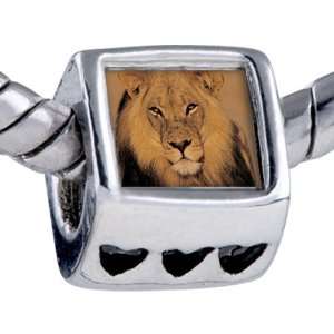   Bead King Jungle Lion Beads Fits Pandora Bracelet Pugster Jewelry