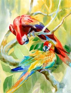 Parrots TROPICAL ROMANCE Key West Large Giclee on Canvas  