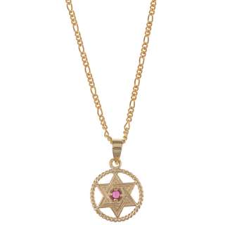 14k Yellow Gold Ruby Star of David Medallion Necklace  