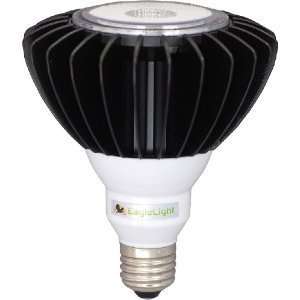  PAR38 LED Indoor/Outdoor 100 Watt Replacement Color White 