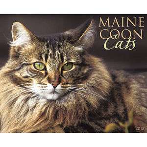 Maine Coon Cats 2012 Wall Calendar 9781607553663  