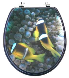 TopSeat 2 Clown Fish 3D Image Custom Toilet Seat W/ Chrome Hinges in 2 
