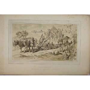    1885 Brussells Exhibition Horses Cows Men Transport