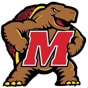   Maryland Terrapins   1 Large Wall Accent College Mural Sticker Home