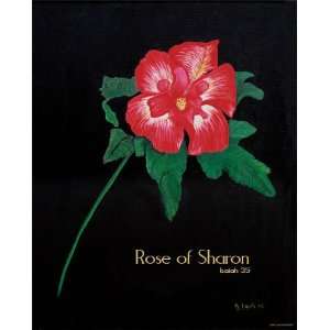  Rose of Sharon