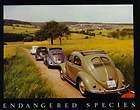 Volkswagen Endangered Species Vintage Bug Road Lineup Great Car Poster 