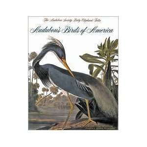  Audubons Birds of America The Audubon Society Baby Elephant Folio 