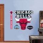 Chicago Bulls Logo  