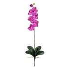 NearlyNatural Phalaenopsis Silk Orchid Flower (Set of 12) Orchid