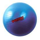 Grizzly Fitness 25.6 Inch Anti Burst Training Ball