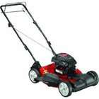   Briggs And Stratton 300 Series Mulch/Side Discharge Gas Powered Self